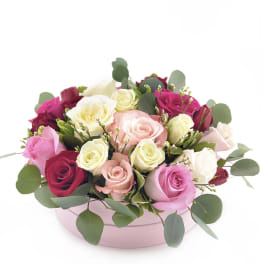 Radiance Blooms
