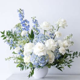 Blue & White Serenity