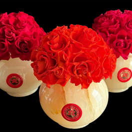 Three round rose arrangements in cream vases on a black background