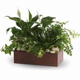 Teleflora's Quiet Expressions