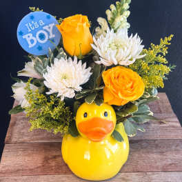 Duck Duck Baby