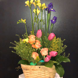 Egg Basket