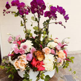 Large base with Orchid Plants