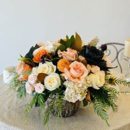 Orange Delight