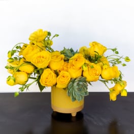Mellow Yellow