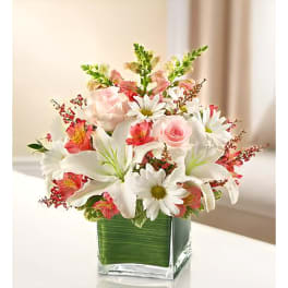In my Thoughts - Pink and White