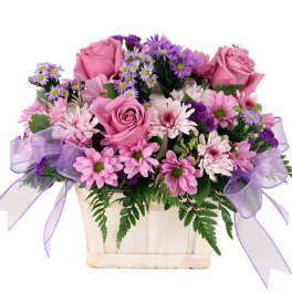 Pink roses and daisies in a cream container with purple ribbon