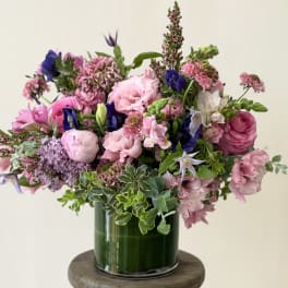 The say Hello to your new, little friend arrangement.