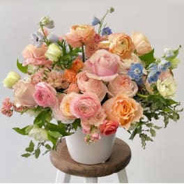 The Little Darlings Arrangement.