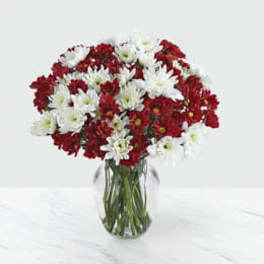 Holiday Poms Blooms