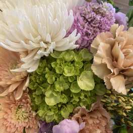 Close-up bouquet of white, peach, and lavender flowers with a green hydrangea center