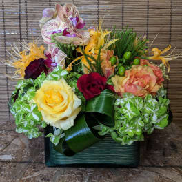 Flying Orchids 1 2 DAY NOTICE