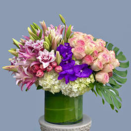 Enchanted Flowers
