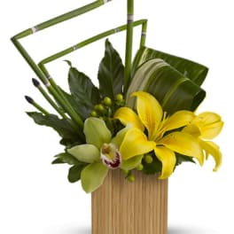 Bamboo Zen - TFWEB618