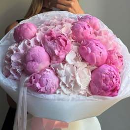 Bouquet of pink and white peonies wrapped in white paper