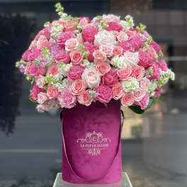 Large Pink -Full 