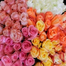 Assorted roses in pink, peach, yellow, and white tones