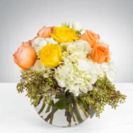 Cheery Moments by BloomNation™