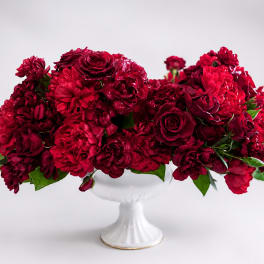 Red rose and carnation arrangement in a white pedestal vase
