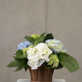 Hydrangea arrangement in a wooden basket