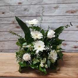 White gerbera daisies and roses in a low green arrangement