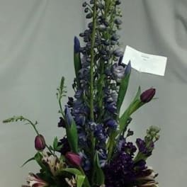 Lovely Purples