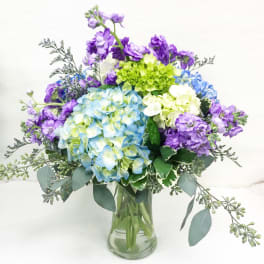 Arrangement of blue and white hydrangeas with purple stock in a clear glass vase