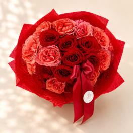 Amor's Crimson Embrace – Luxury Two Dozen Rose Bouquet