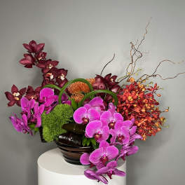 Tropical Orchids ™