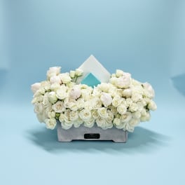 Chic White Harmoy 