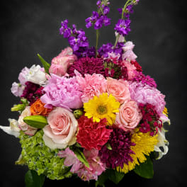 Diva’s Delight