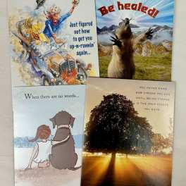 Leanin' Tree Get Well Cards