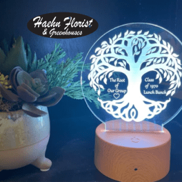 Custom Luminous Light Display