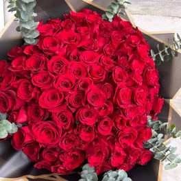 Hold the Rose