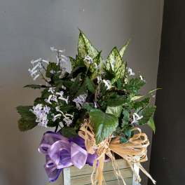 Potted flowering plant arrangement in a wooden box with purple ribbon
