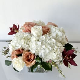 Blooms of Joy