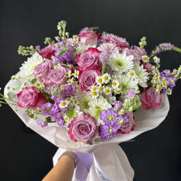 Lavender Blush Harmony