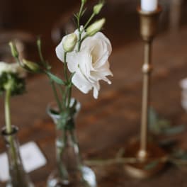 White lisianthus stems in a small glass vase on a table