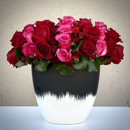 Red and Pink Parade