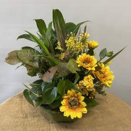 Yellow sunflowers arranged in a low glass bowl with mixed green foliage