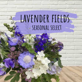Lavender and white mixed bouquet with assorted blooms
