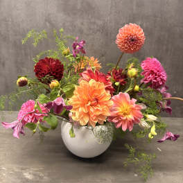 Colorful dahlia arrangement in a white vase