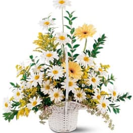 Drop of Sunshine Basket [TF221-4]