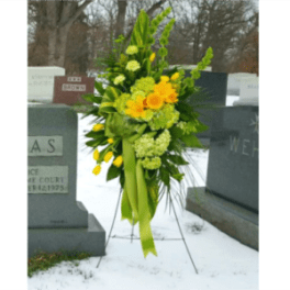 GREEN AND GOLD SPRAY [TT-ANC62]