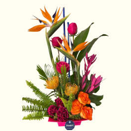 Tropical bouquet with orange bird-of-paradise and pink roses in a pink container