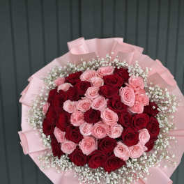 Bouquet of red and pink roses wrapped in pink paper