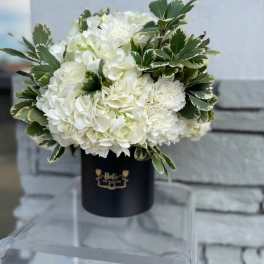 White hydrangea bouquet in a black hat box with variegated greenery
