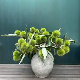 Chestnut pods