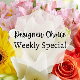 Designer Choice Weekly Special