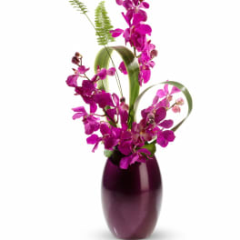Tall arrangement of bright fuchsia orchids in a glossy dark purple vase with looping green blades